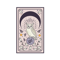 Oracle Owl Sticker